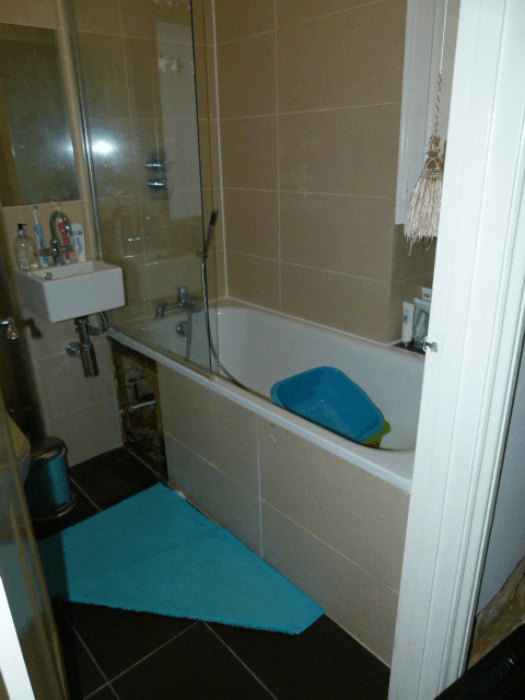 cannon-bathroom-before-photo