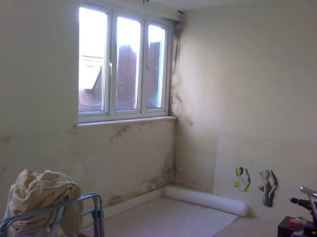 mould-remediation02