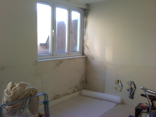 mould-remediation04