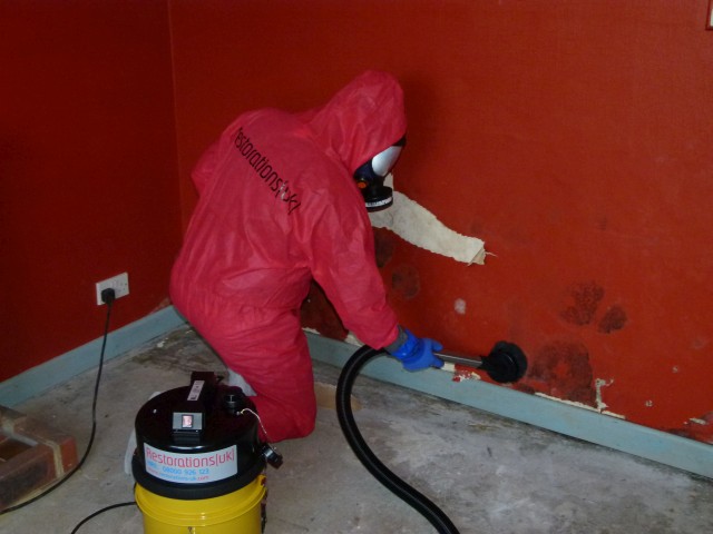 mould-remediation07