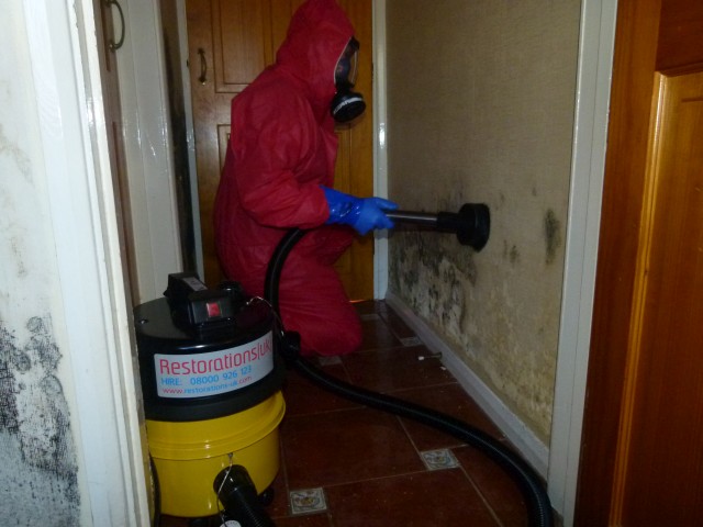 mould-remediation10