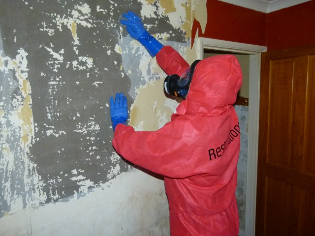 mould-remediation11