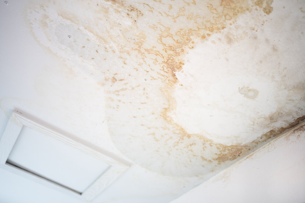 damp patch on ceiling to be restored by an expert company like restorations uk