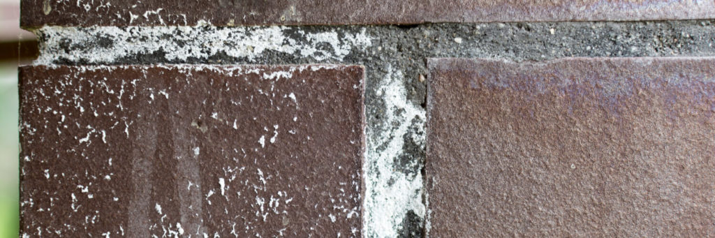 Identifying Efflorescence