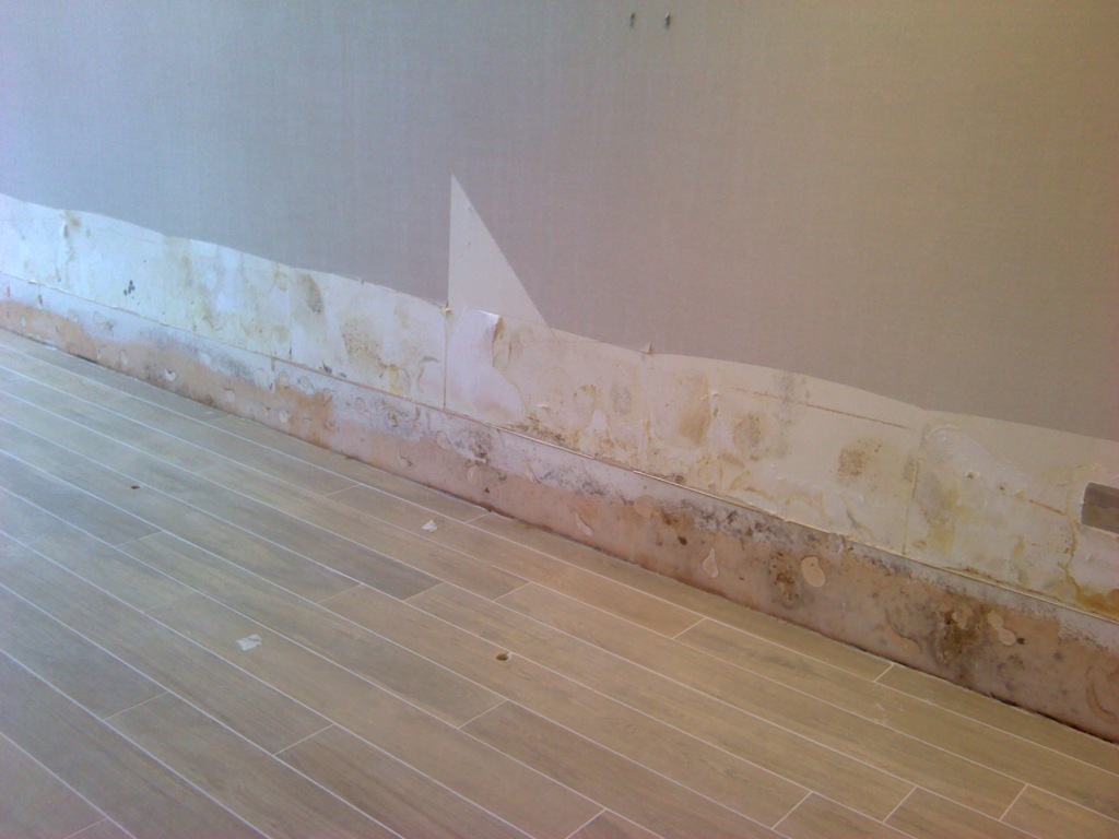 Water damage and damp wall at one of five luxury properties investigated by Restorations UK